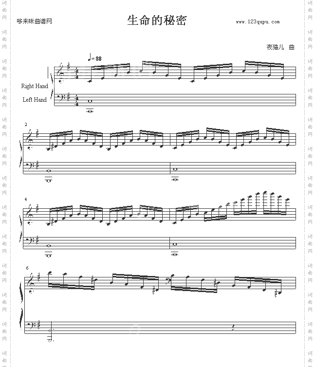 生命的秘密-夜猫儿