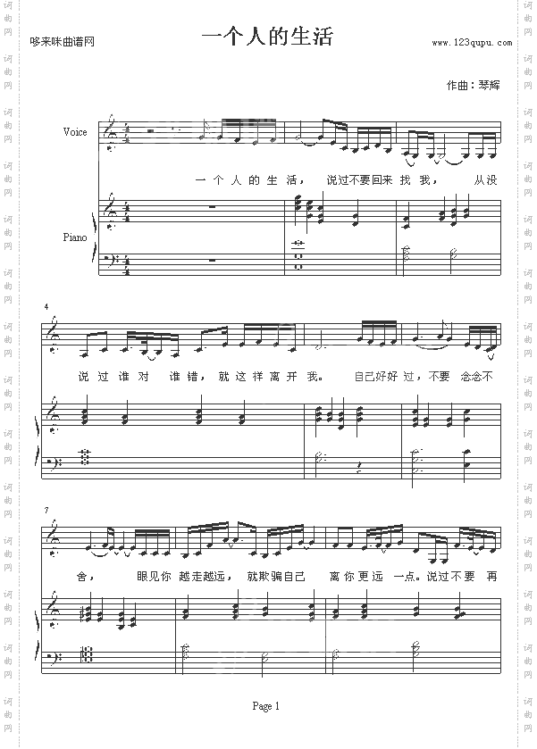 一个人的生活-琴辉