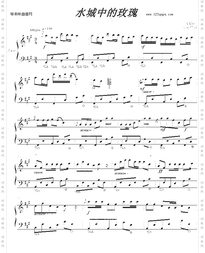 水城中的玫瑰-jerry5743