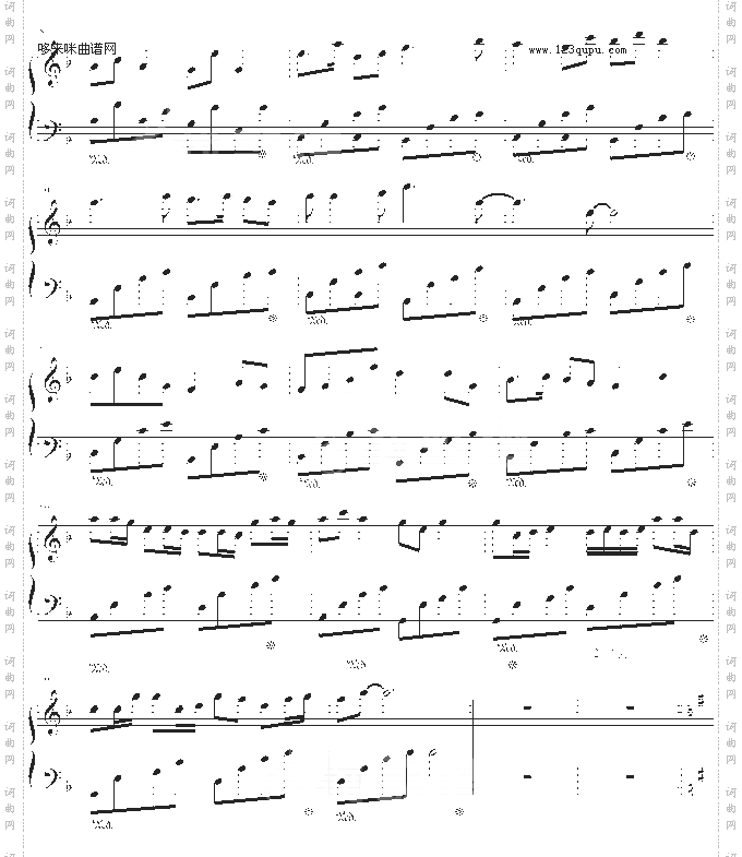 水城中的玫瑰-jerry5743