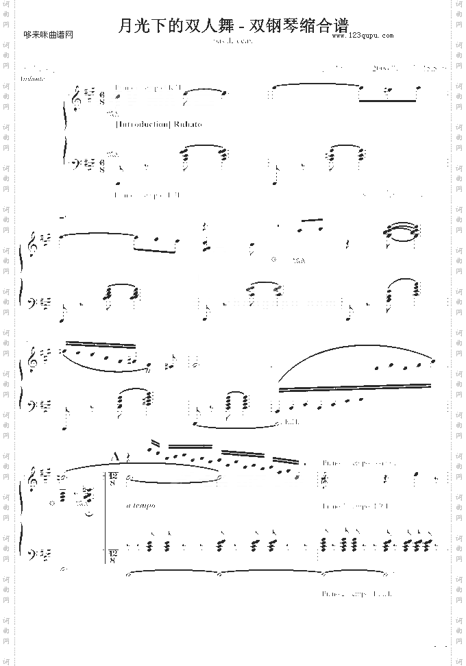 月光下的双人舞-追梦人