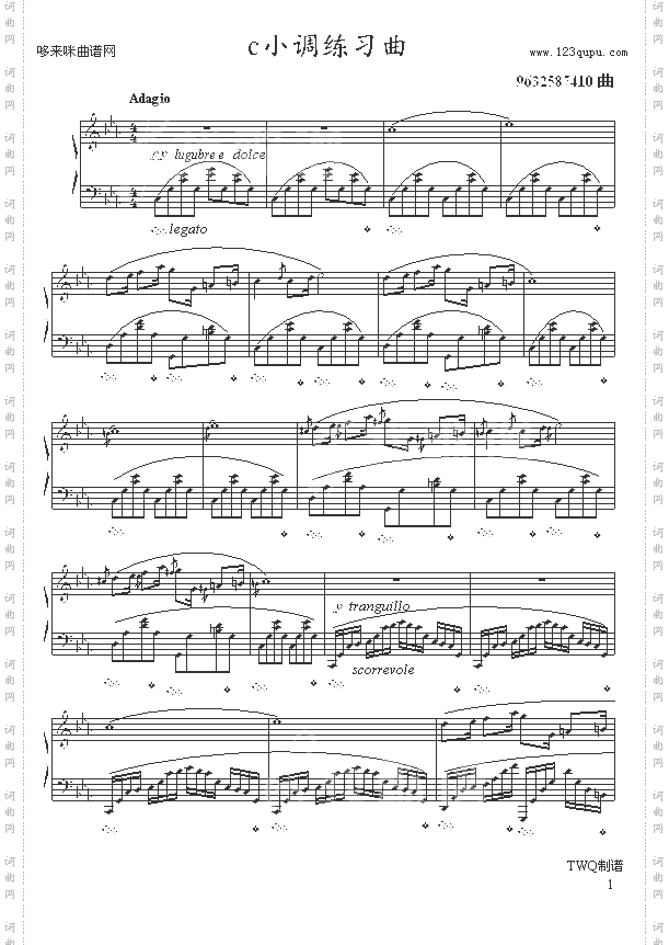 c小调练习曲-9632587410