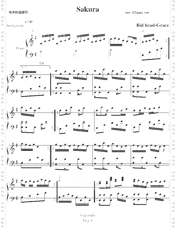 樱之初-大头Grace