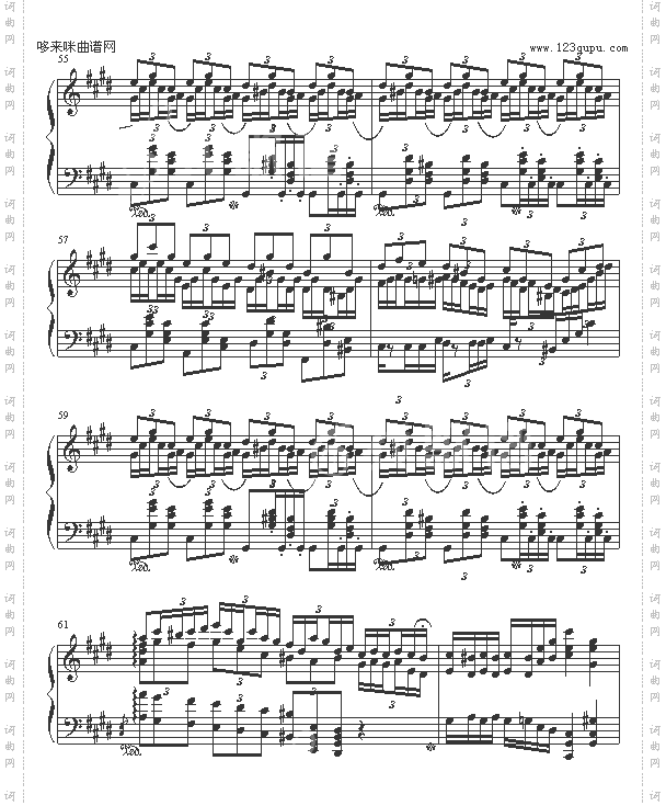 EtudePassion-windyoption