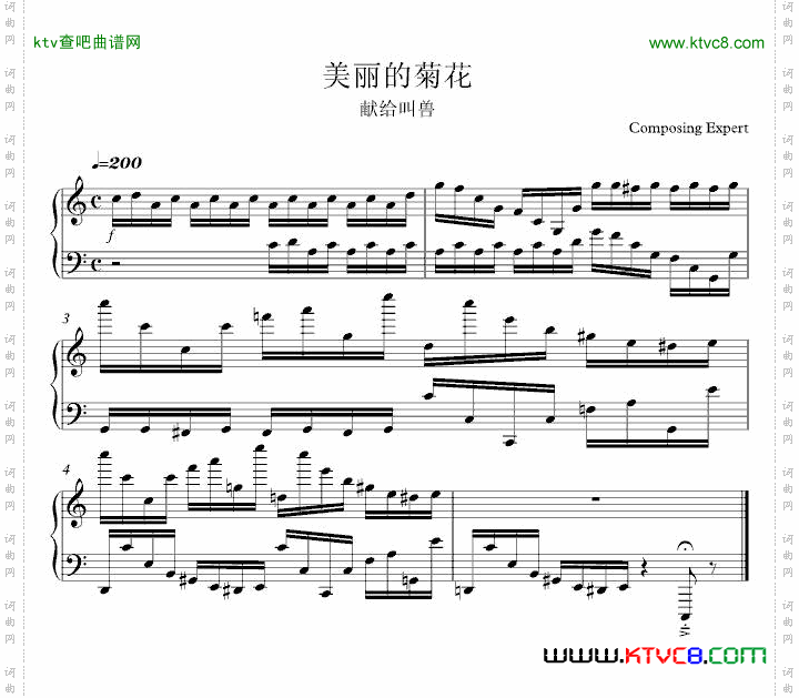 献给叫兽——美丽的菊花