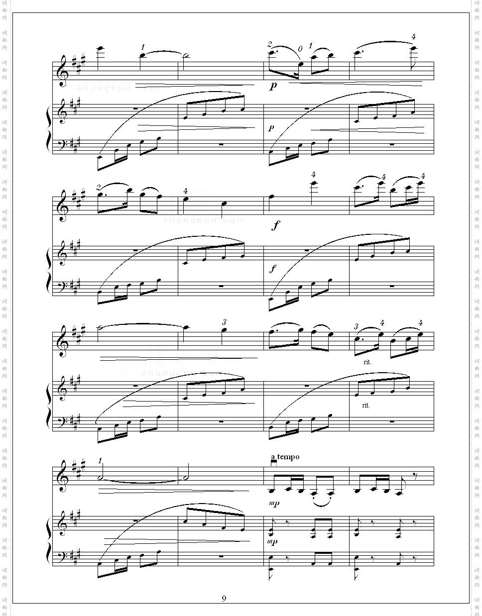 欢乐的养鸡场小提琴曲