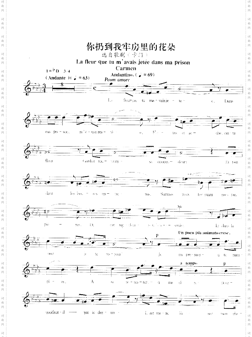 你扔到我牢房里的花朵