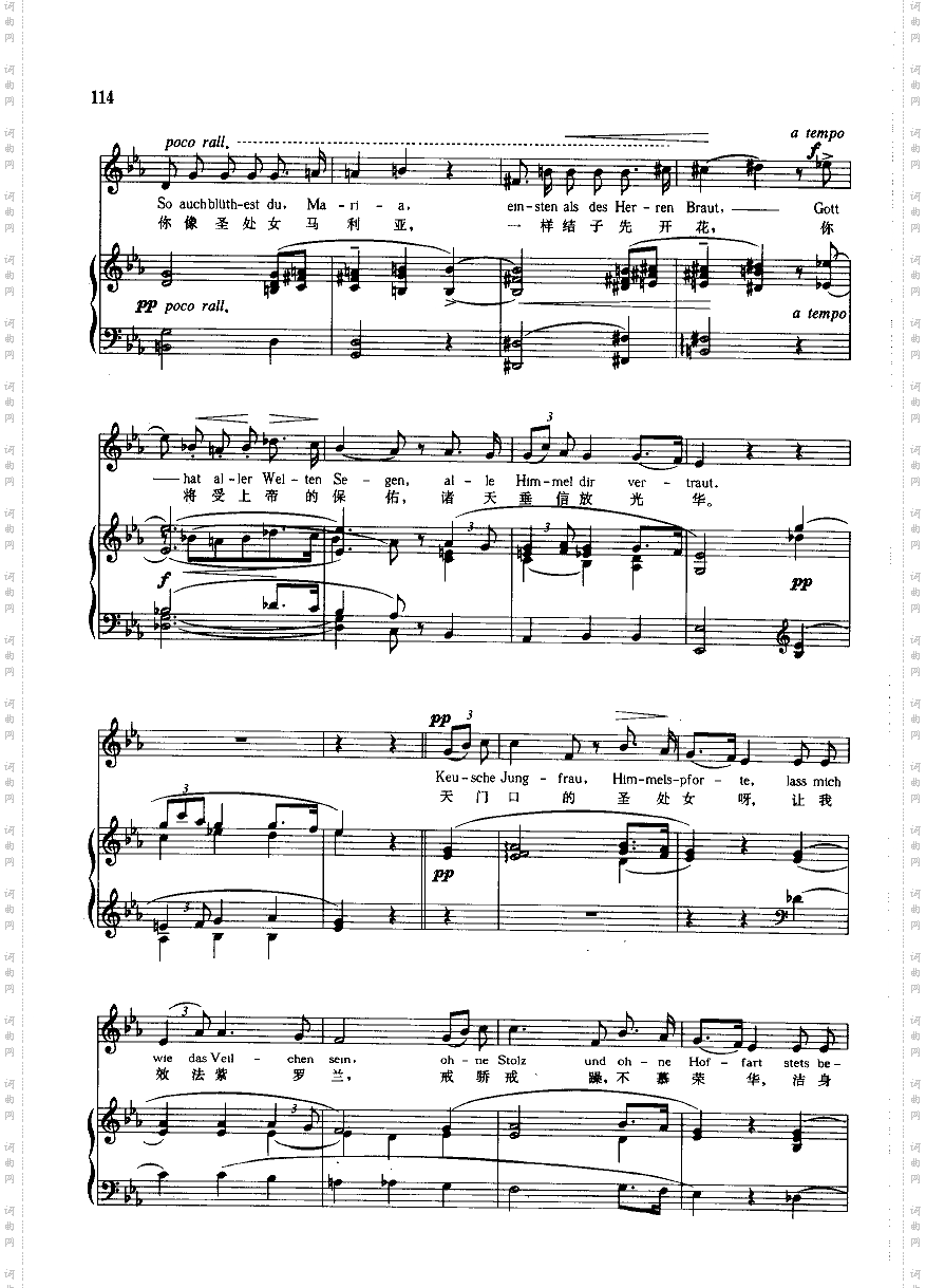 紫罗兰钢伴歌曲类钢琴伴奏谱