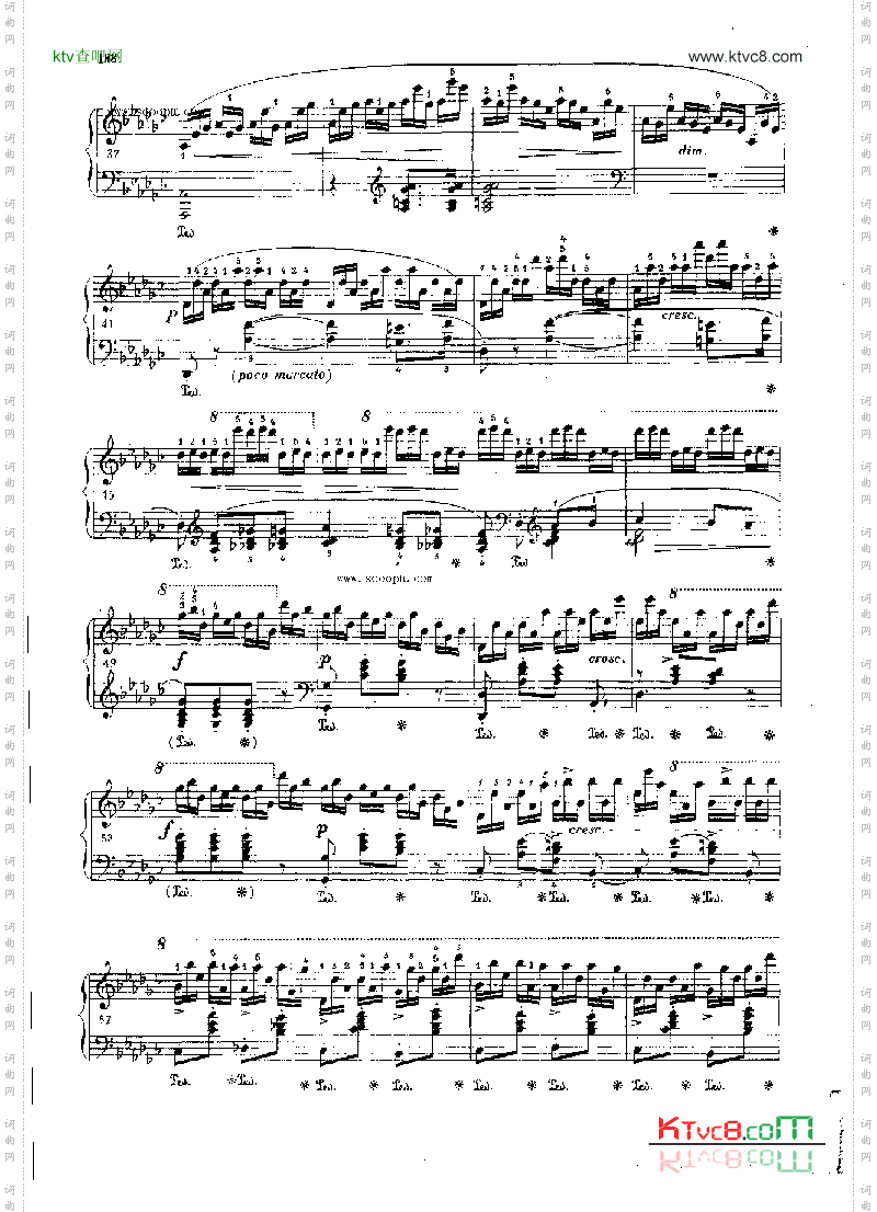 练习曲OP.10Nr5键盘类钢琴