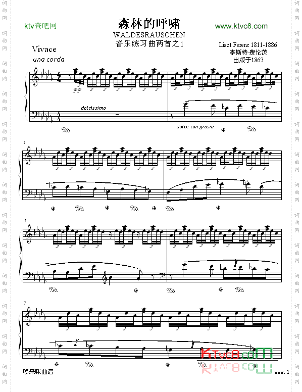 森林的呼啸-李斯特