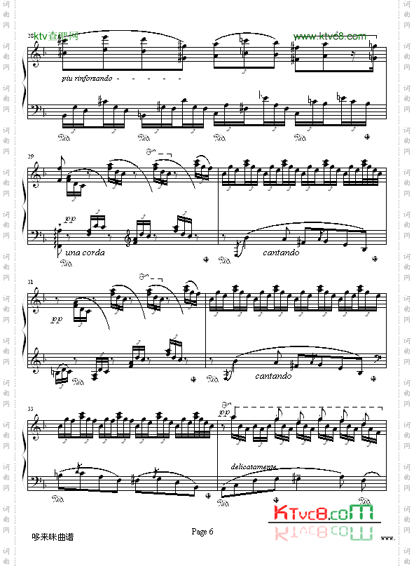 森林的呼啸-李斯特