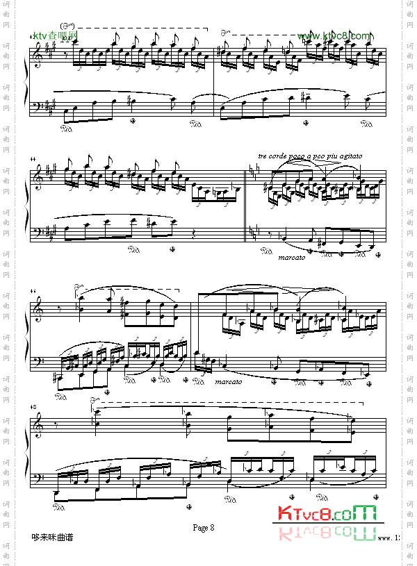 森林的呼啸-李斯特