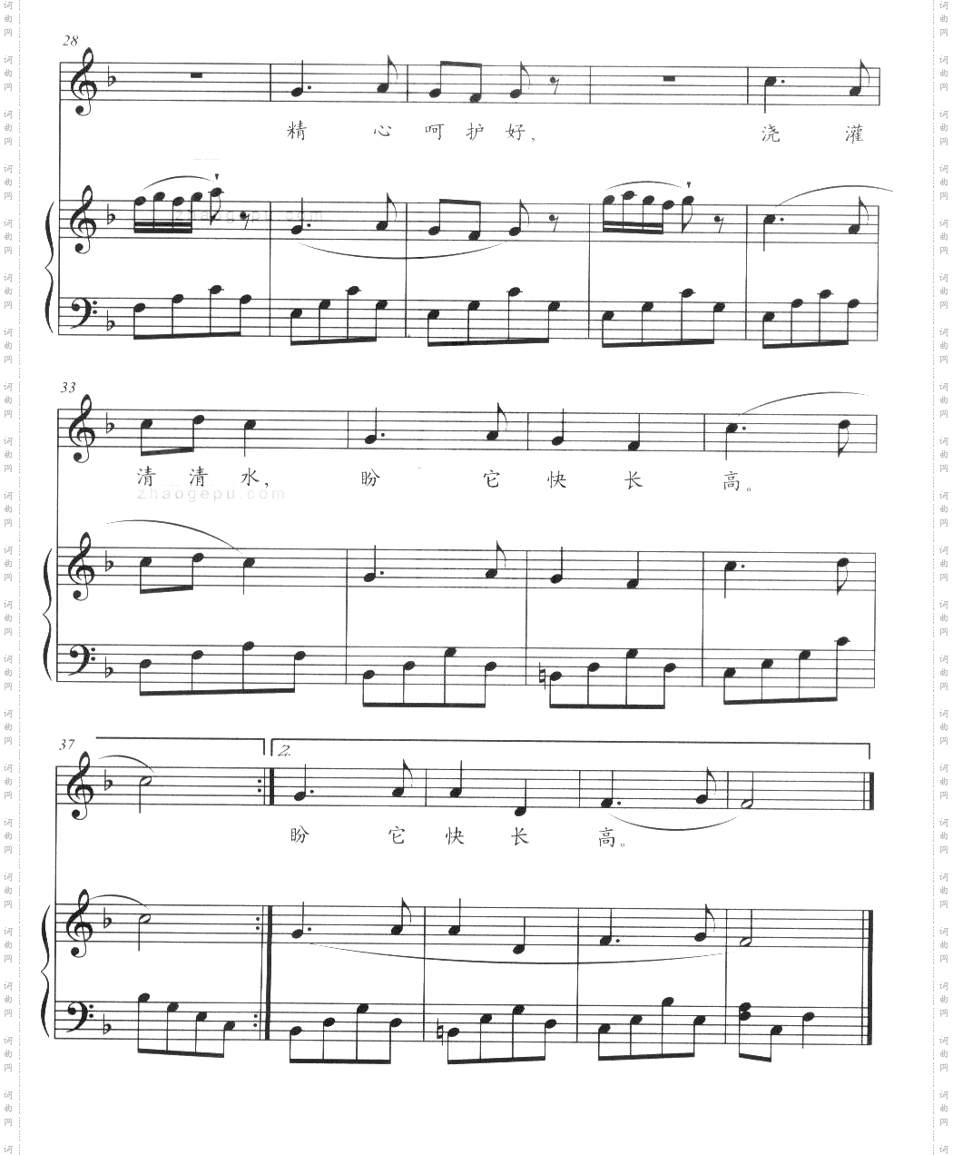 种树苗钢琴伴奏