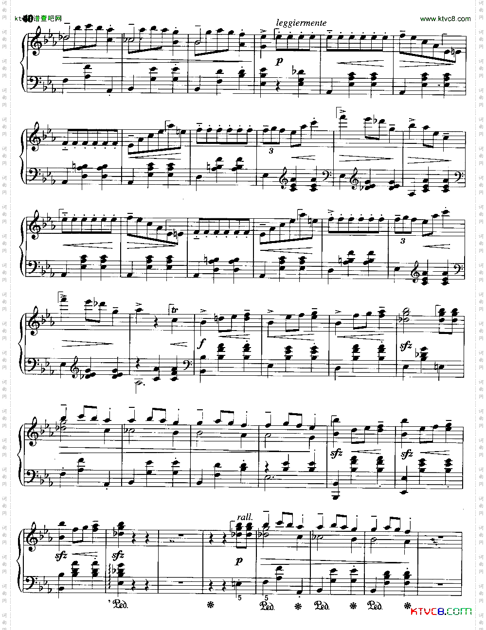 辉煌的大圆舞曲