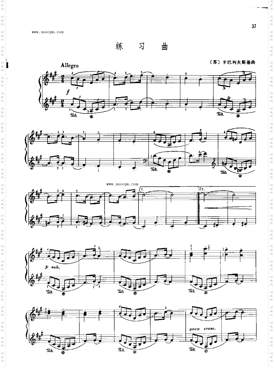 练习曲键盘类钢琴