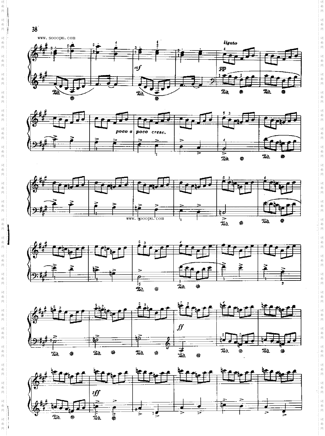 练习曲键盘类钢琴