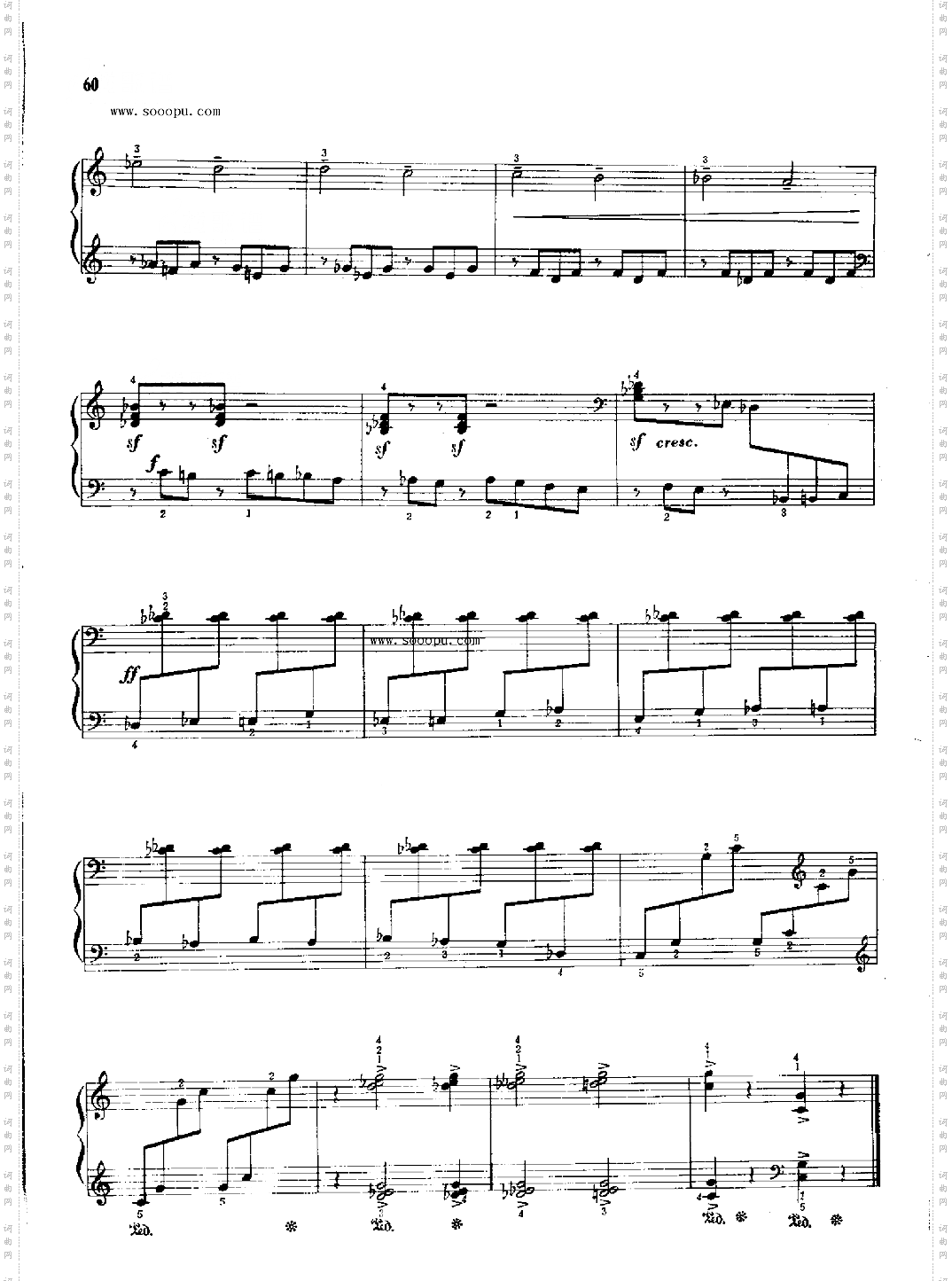 练习曲键盘类钢琴