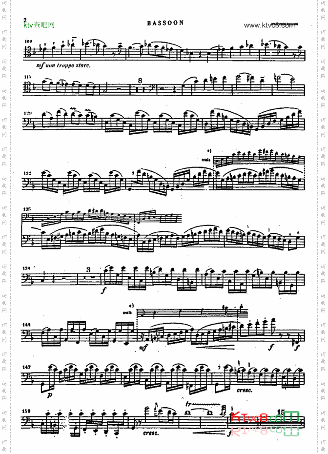 bassoon