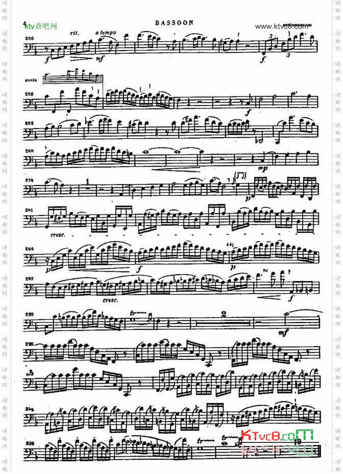 bassoon