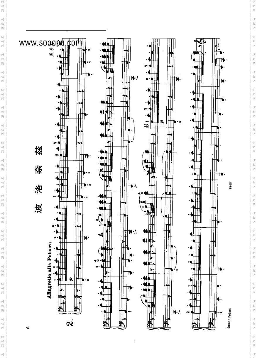 波罗泰兹四手联弹键盘类钢琴