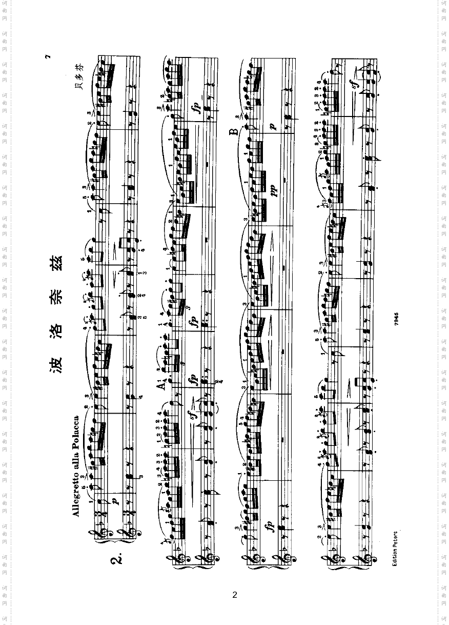 波罗泰兹四手联弹键盘类钢琴