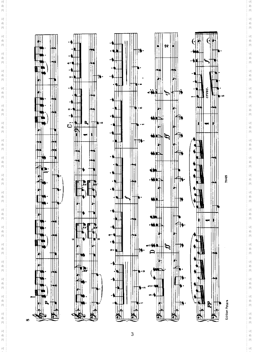 波罗泰兹四手联弹键盘类钢琴