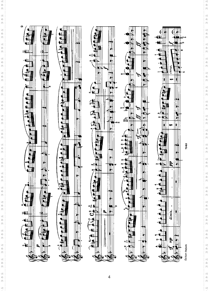 波罗泰兹四手联弹键盘类钢琴
