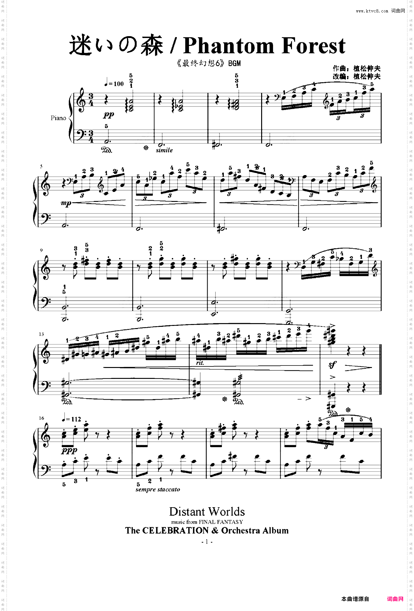 迷いの森 / Phantom Forest