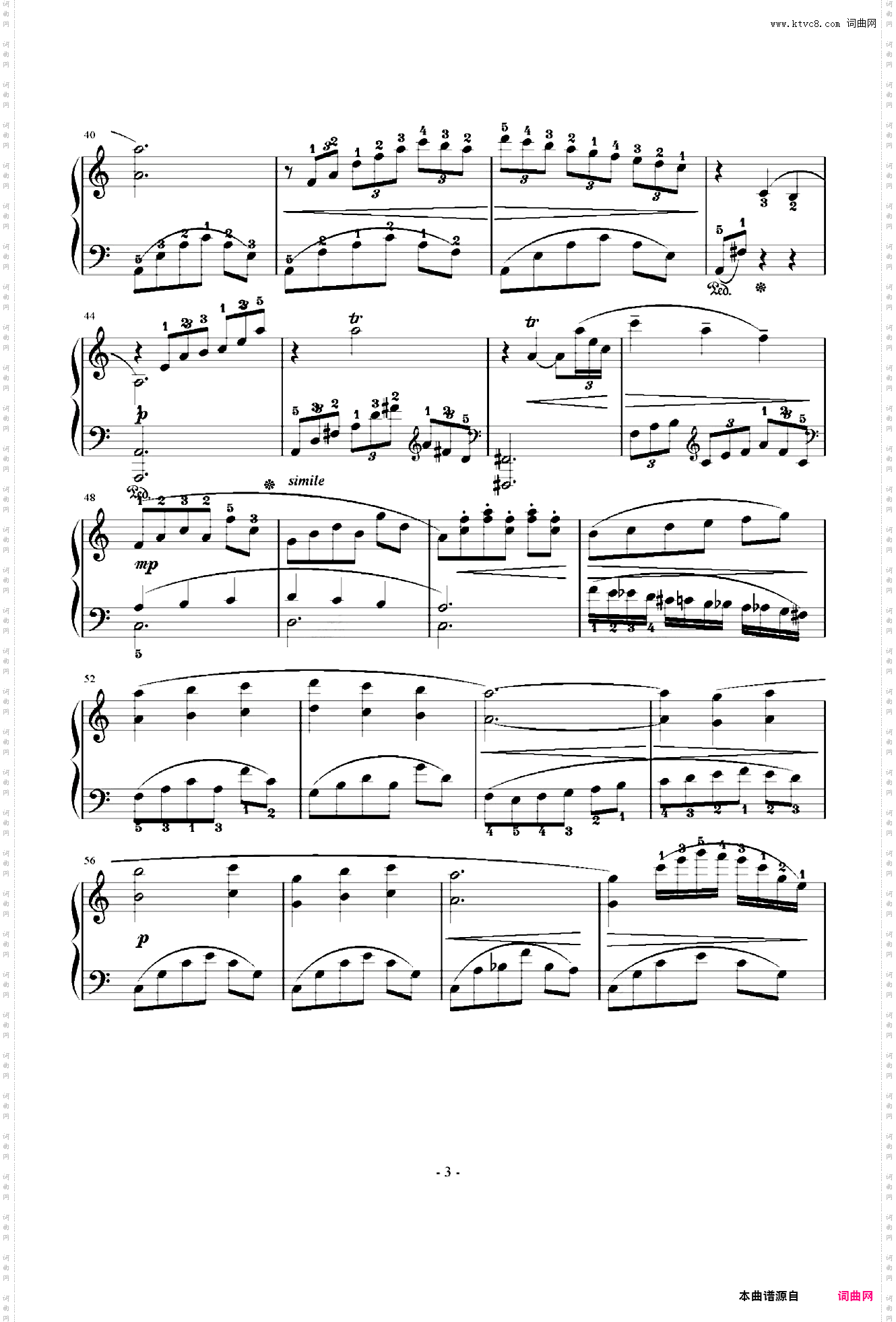 迷いの森 / Phantom Forest