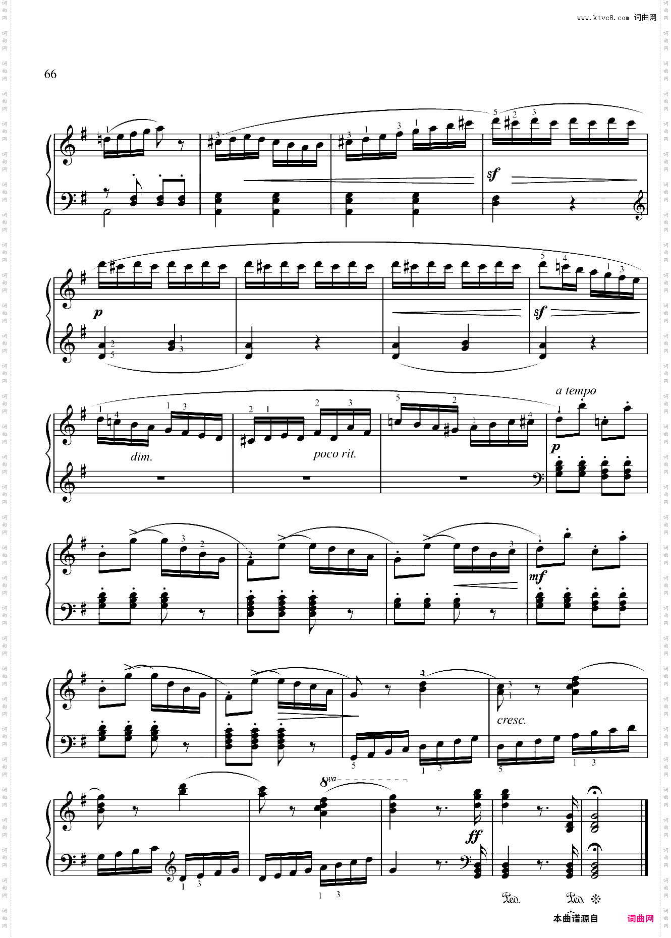 4级-C3-俄罗斯波尔卡