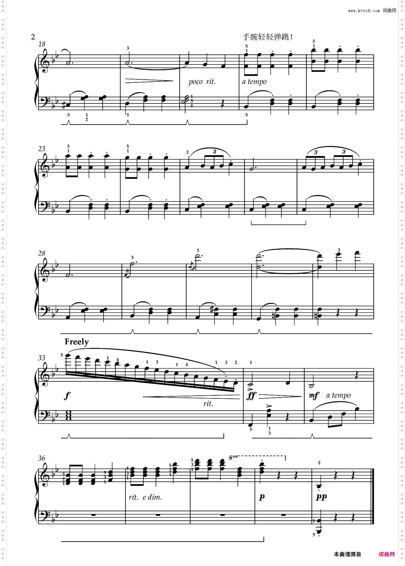 南国玫瑰圆舞曲