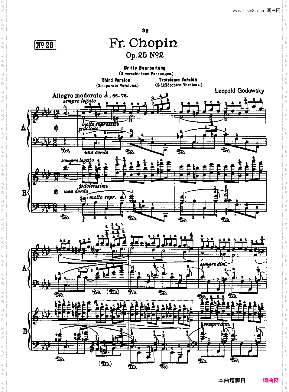53首以肖邦练习曲为素材而作的练习曲 Etudes d'Apres ChopinGodowsky Etudes d'Apres Chopin 2
