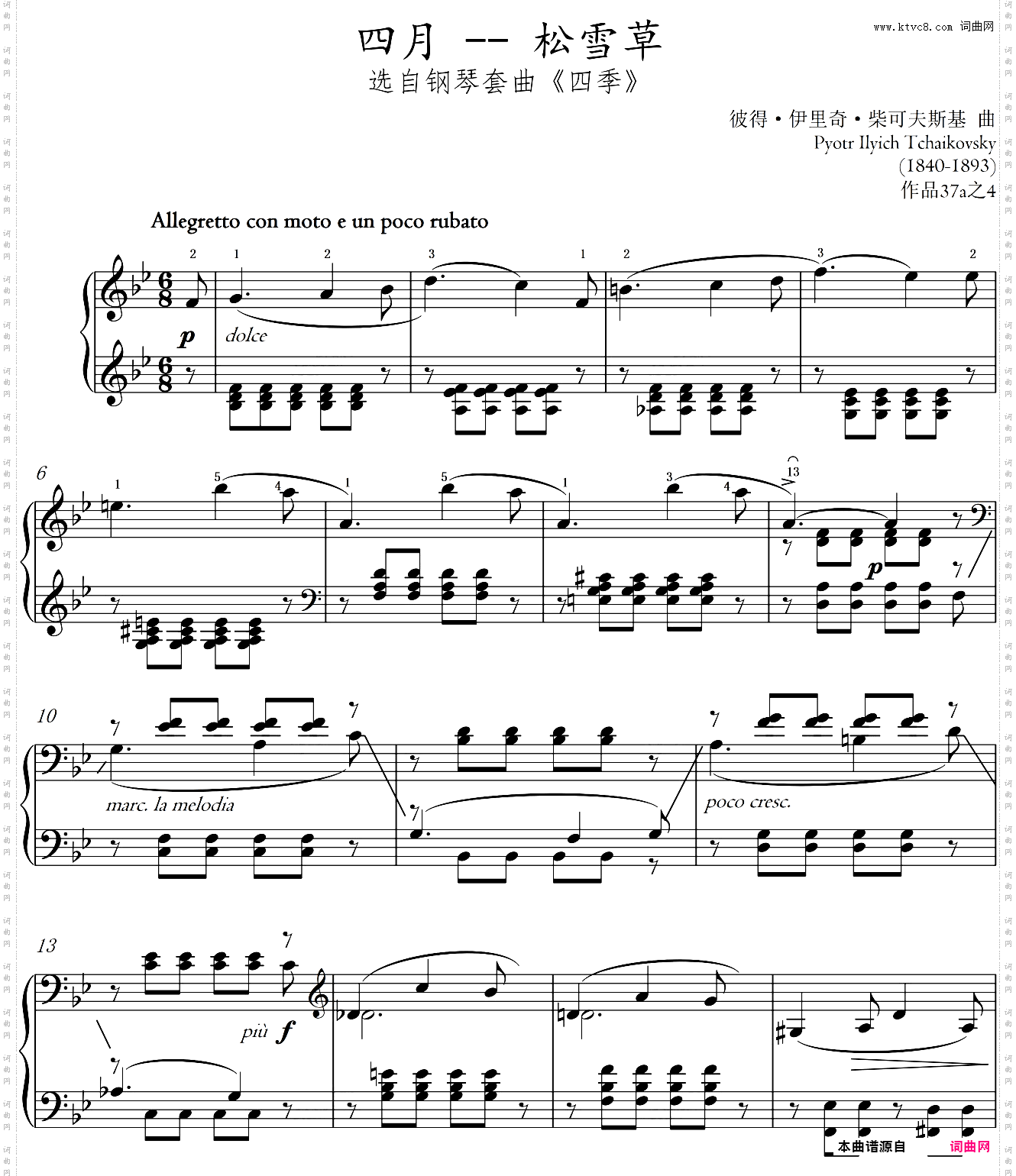 四月-松雪草_5级
