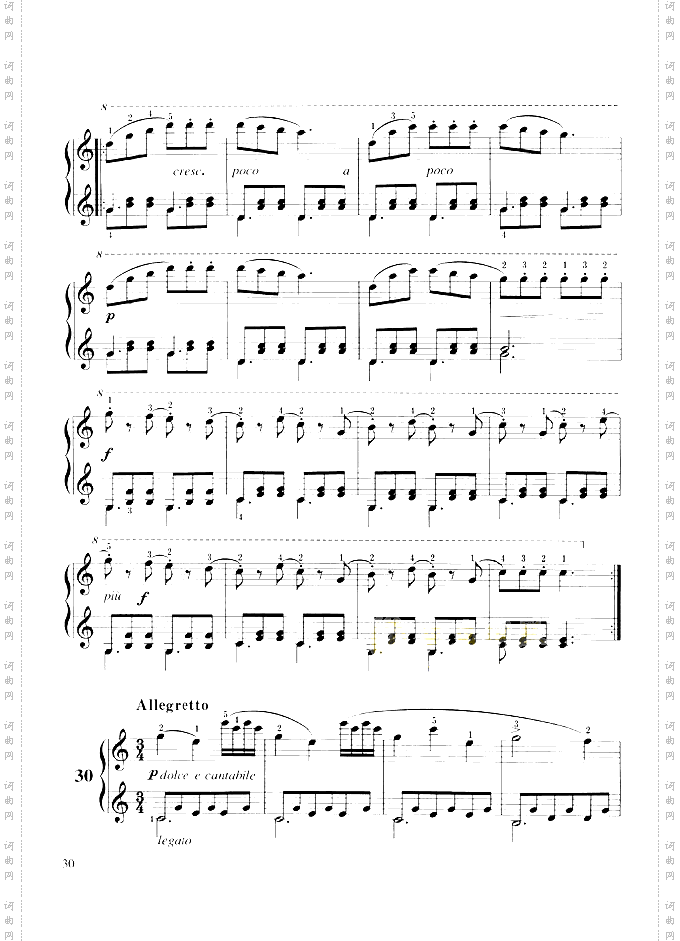 车尔尼599实用教学版-金龙鱼全本