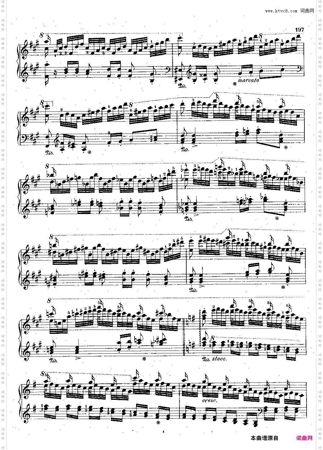 李斯特改编柴可夫斯基 波兰舞曲S·262