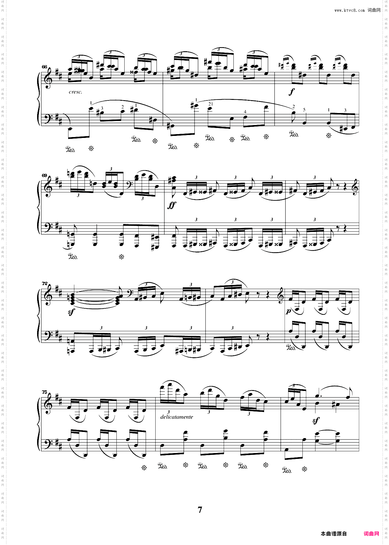 第十级03波洛涅兹