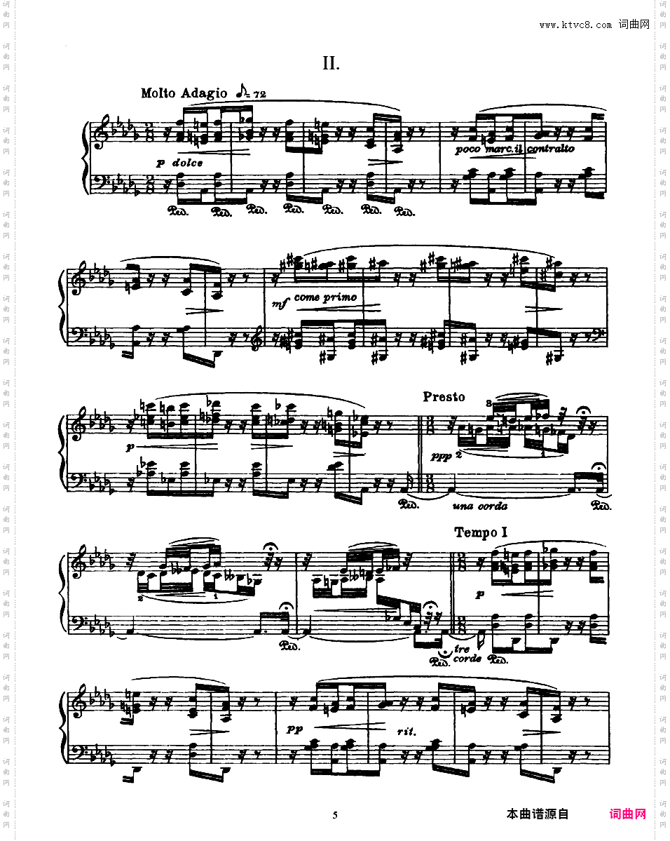 在雾中 In the Mist