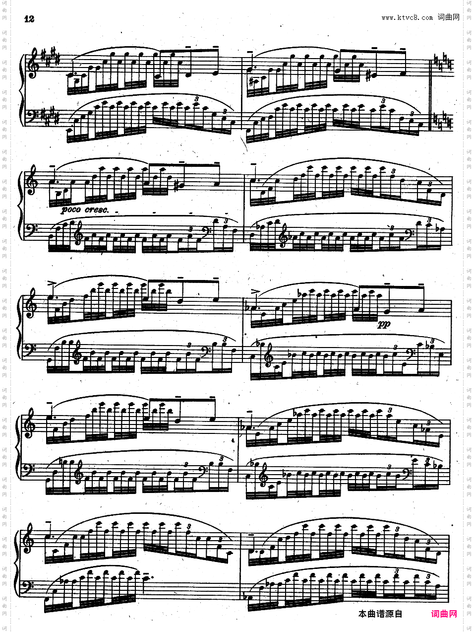 12首新练习曲 Twelve Etudes Nouvelles Op·29Bortkiewicz op29 12 E?tudes Nouvelles Book 2