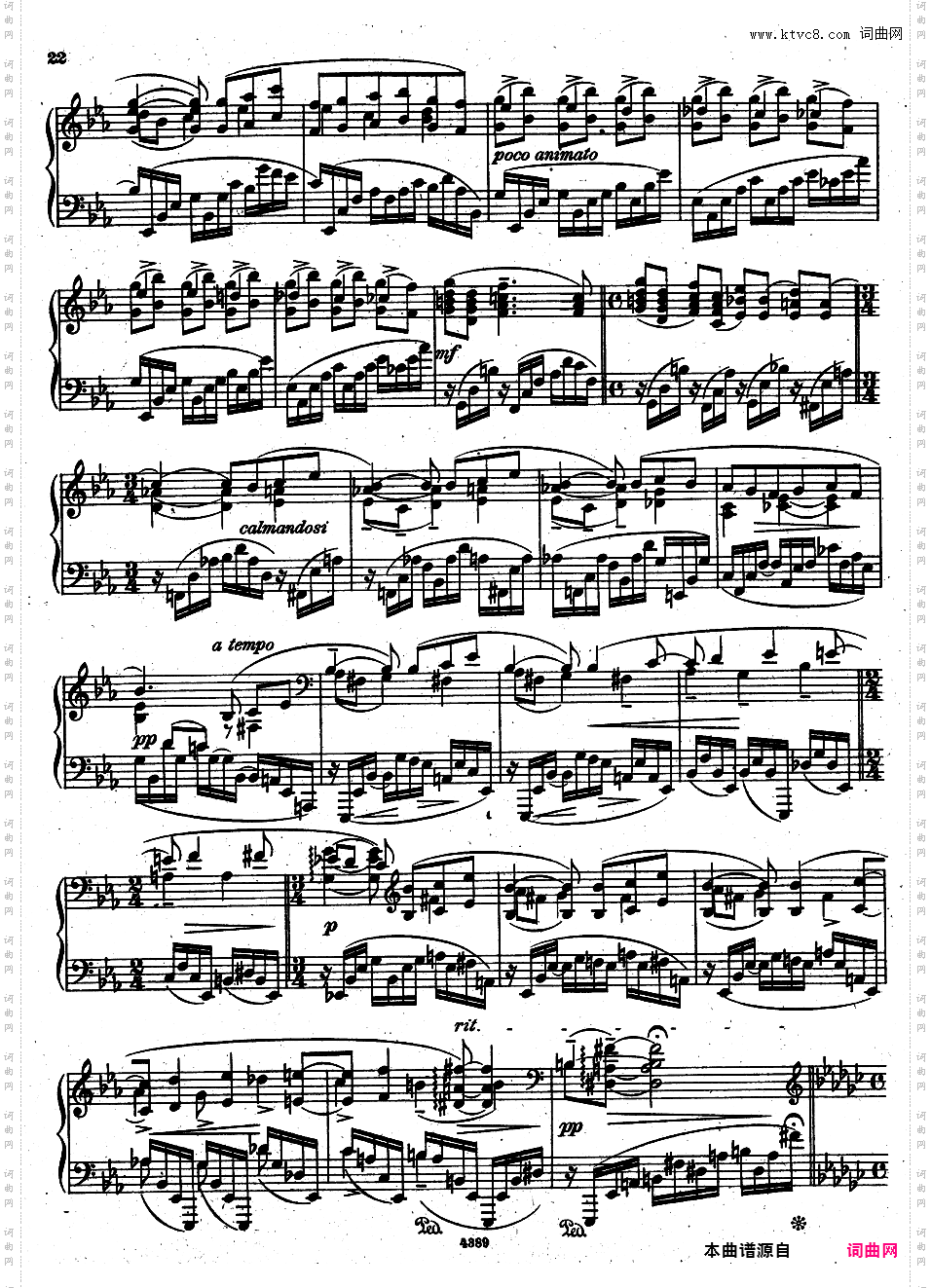 12首新练习曲 Twelve Etudes Nouvelles Op·29Bortkiewicz op29 12 E?tudes Nouvelles Book 2