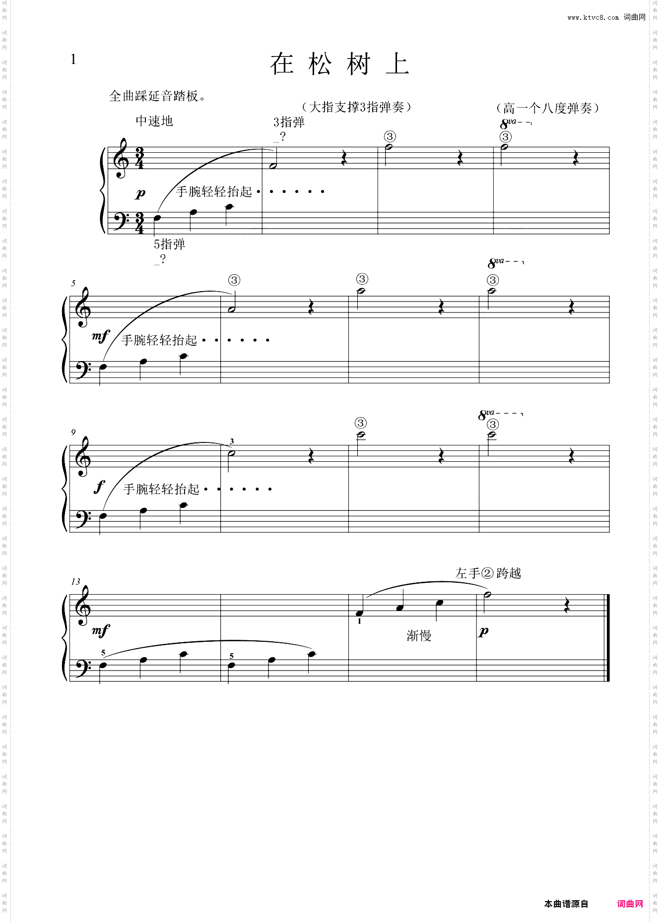 14·在松树上