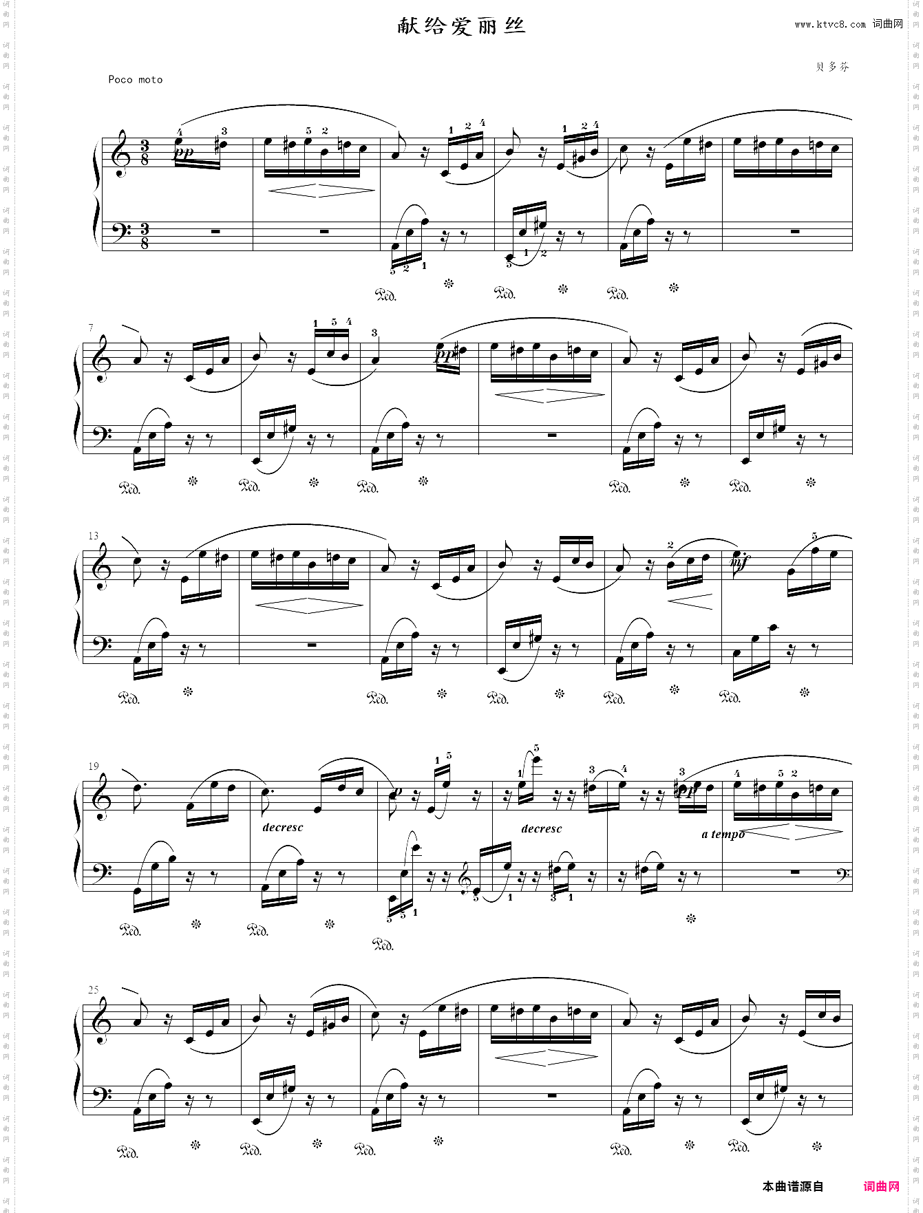 for alice