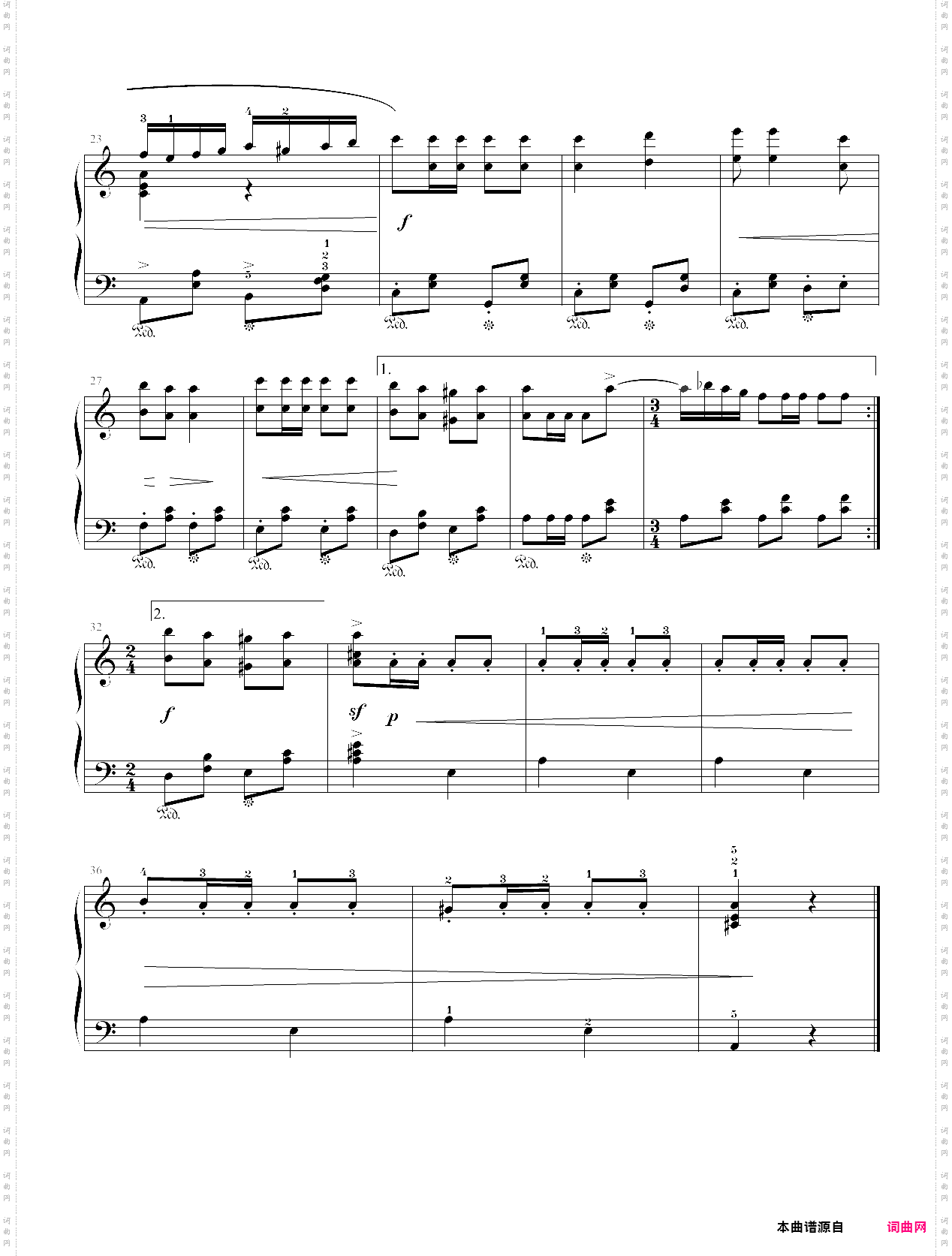 26·高师钢基三送我一支玫瑰花