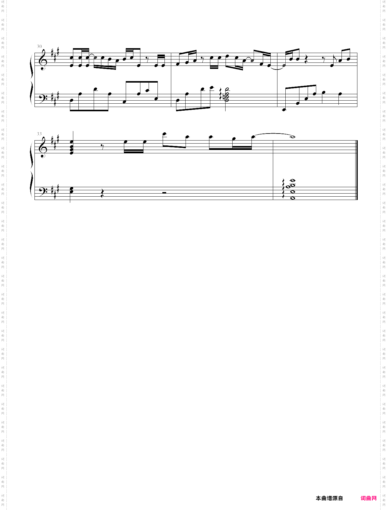 フリージア希 望 之 花