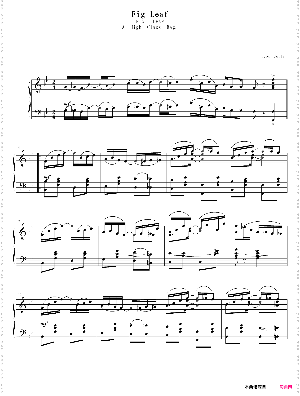 fig leaf rag无花果叶拉格