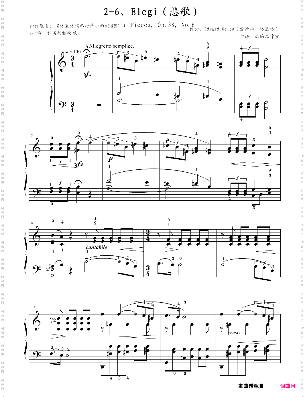 2-6、elegi悲歌【edvard grieg爱德华·格里格】-z0841