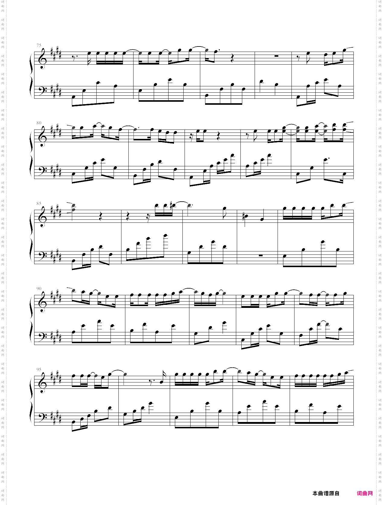 promised land~_太陽の楽園