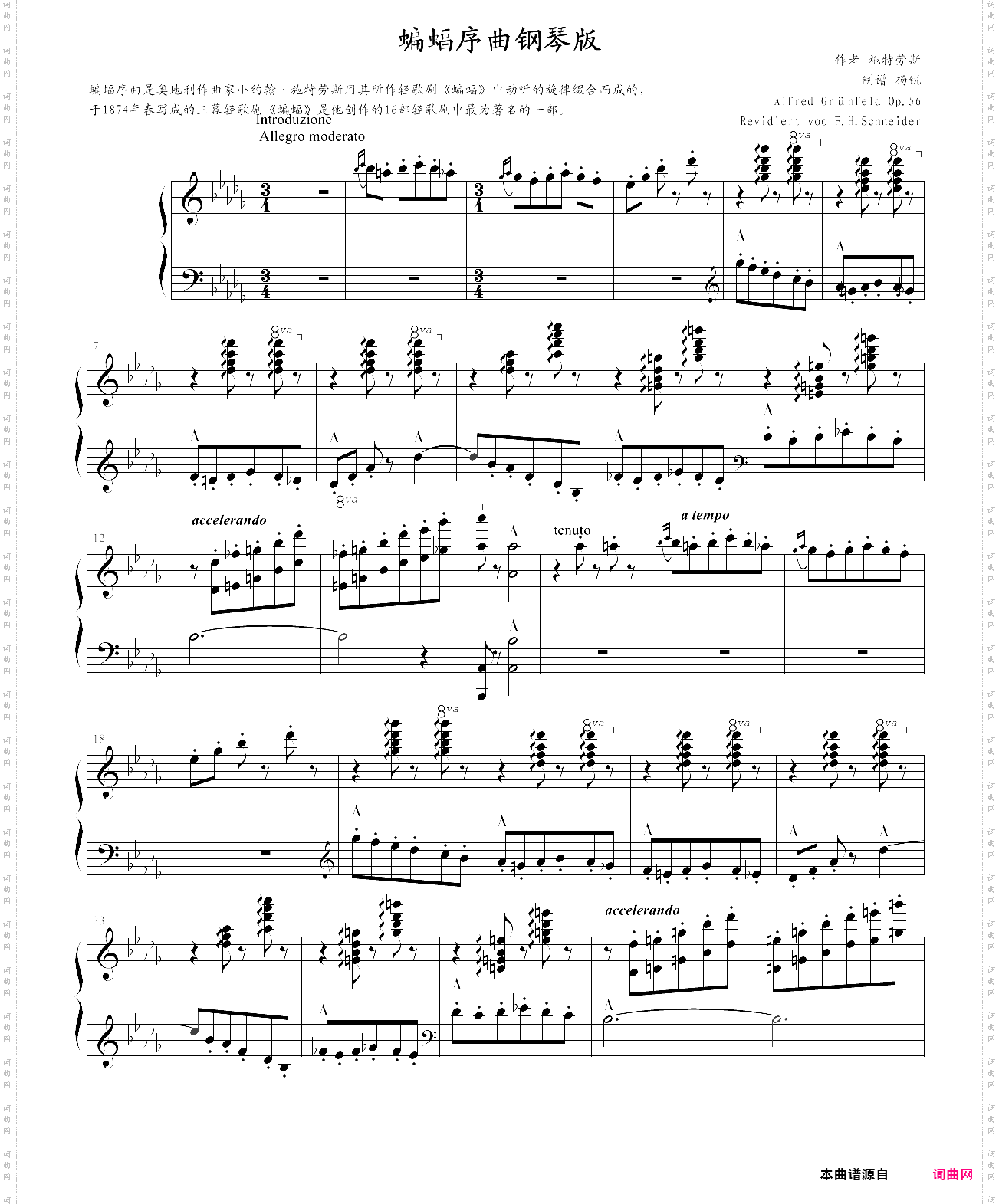 蝙蝠序曲