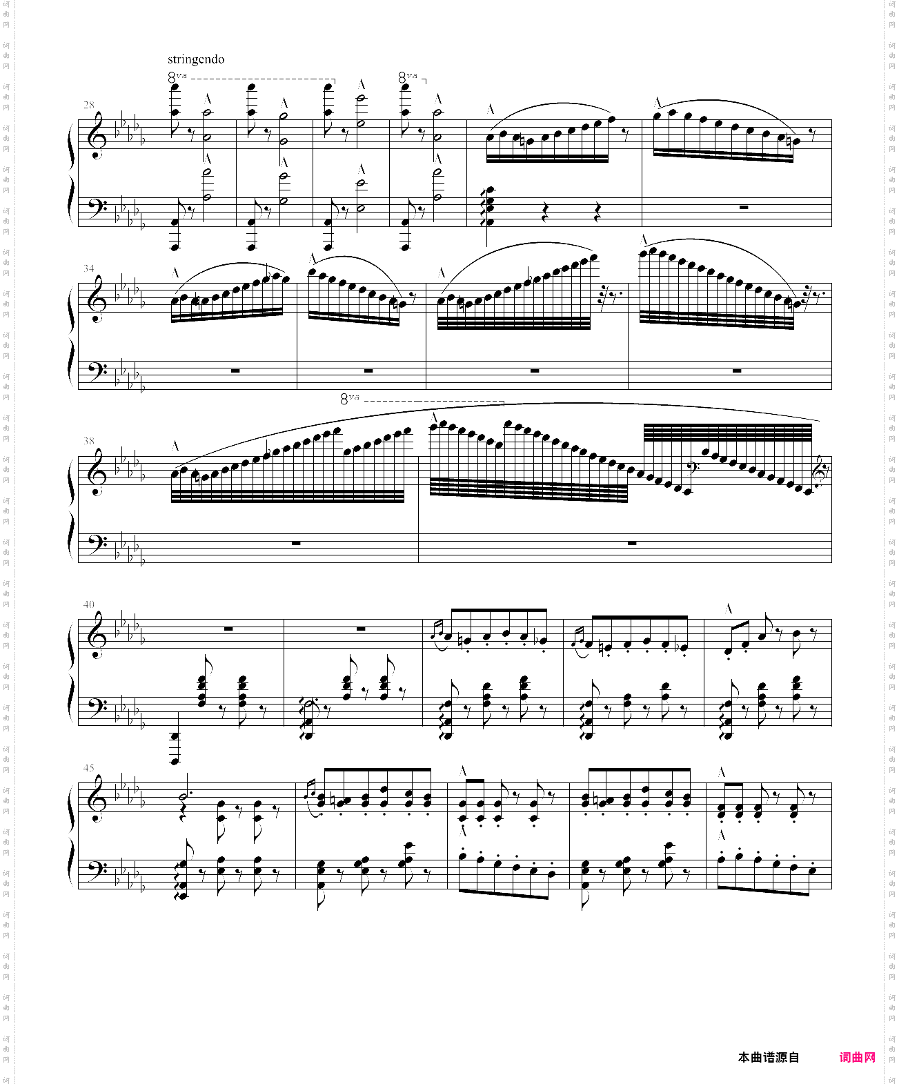 蝙蝠序曲