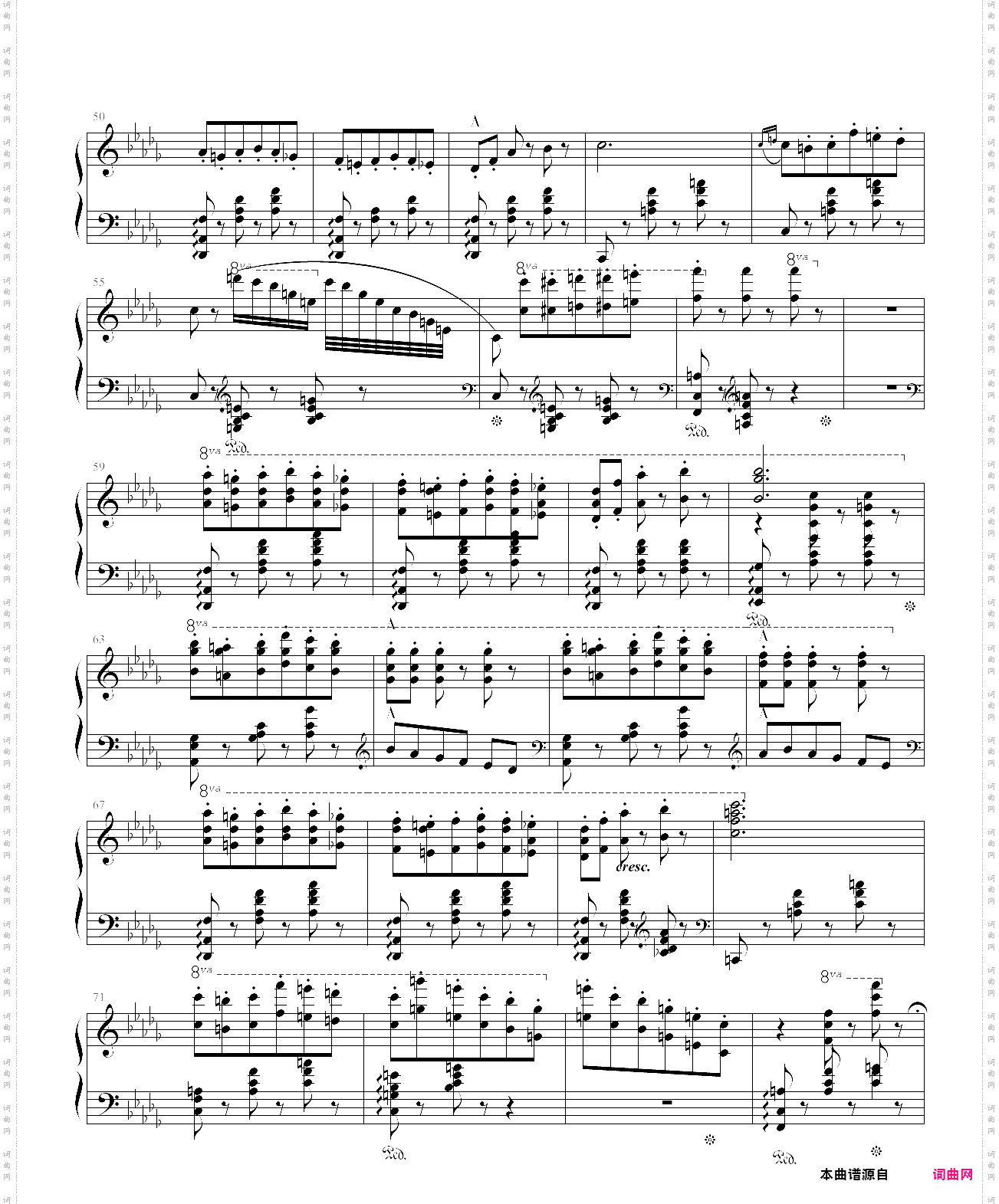 蝙蝠序曲