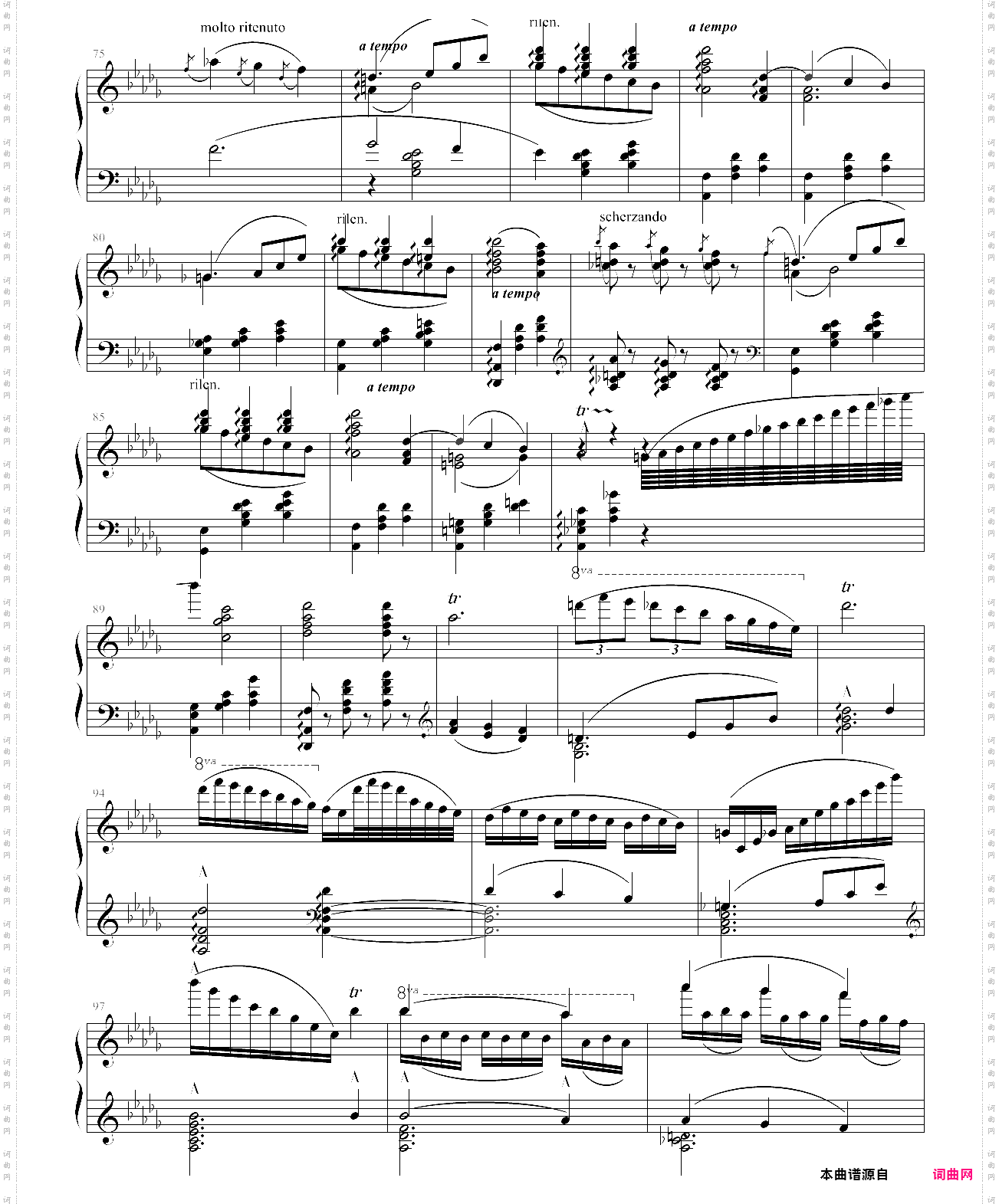 蝙蝠序曲